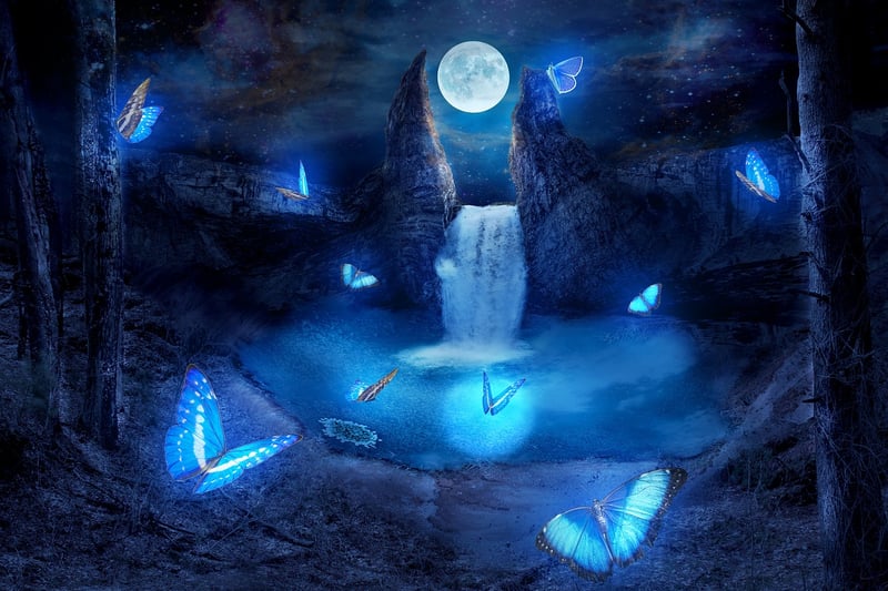 Magic Creations