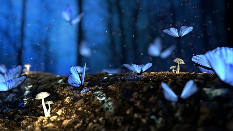 Magical Landscape