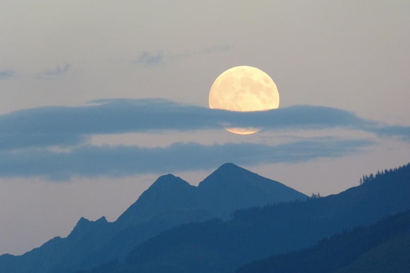Moonlit Garden